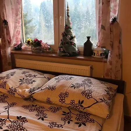Holiday park Lesny Dwor Wisla