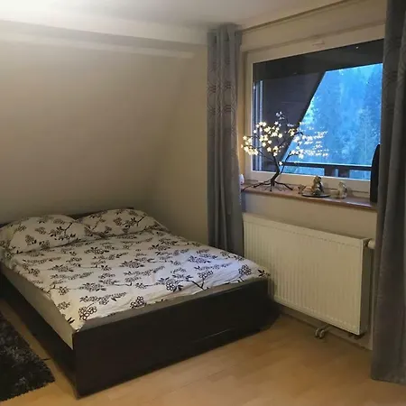 Lesny Dwor منتزه العطل فيسلا