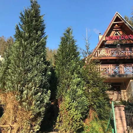 Lesny Dwor Holiday park *