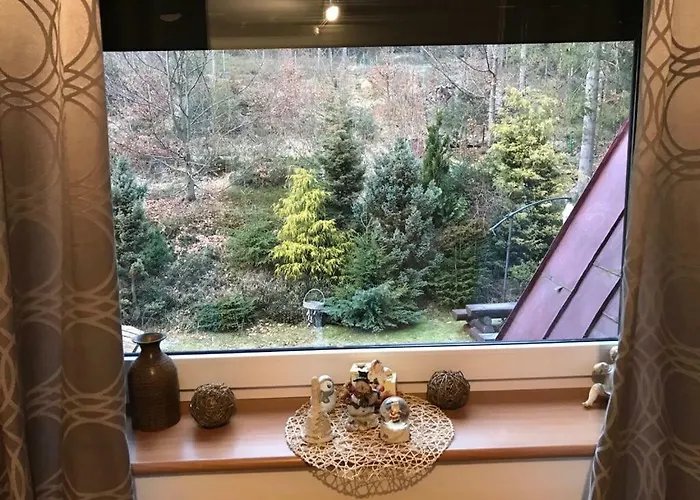 Lesny Dwor Holiday park