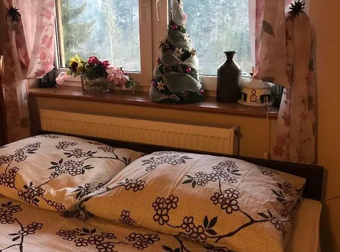 Holiday park Lesny Dwor Wisla